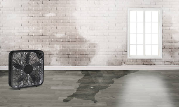 Reliable OK Water damage restoration Solutions
