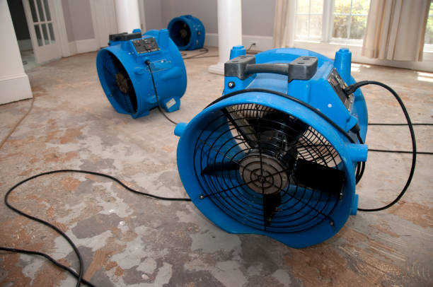 Best Fire Damage Restoration  in Ponca City, OK