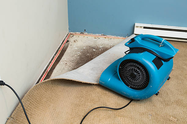 Best 24-hour water damage restoration  in Ponca City, OK